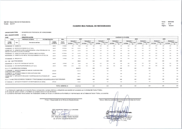 CUADRO MULTIANUAL DE NECESIDADES 2027-2029-ANEXO N&deg;2 FASE DE IDENTIFICACION